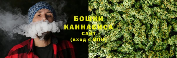 ПСИЛОЦИБИНОВЫЕ ГРИБЫ Верхнеуральск