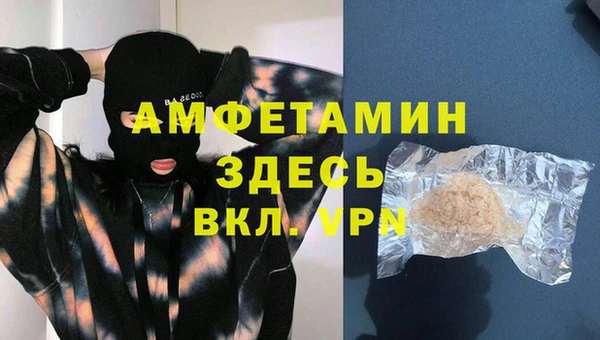 хмурый Верея