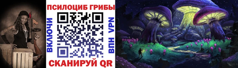 маркетплейс клад  цены наркотик  Гусев  Псилоцибиновые грибы GOLDEN TEACHER 